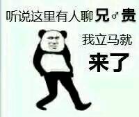 听说这里有人聊兄贵，我立马就来了