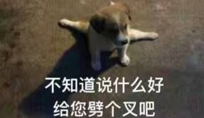 不知道说什么好，给您劈个叉吧