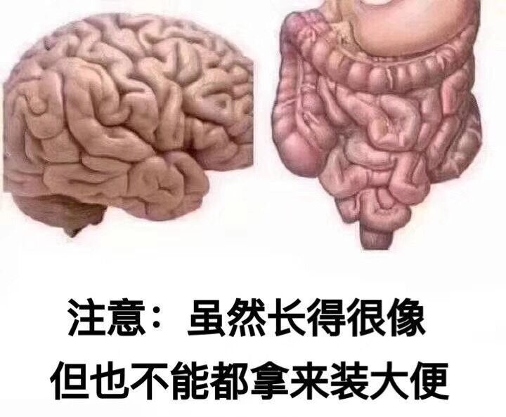 注意：虽然长得很像但也不能都拿来装大便