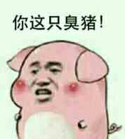 你这只臭猪！