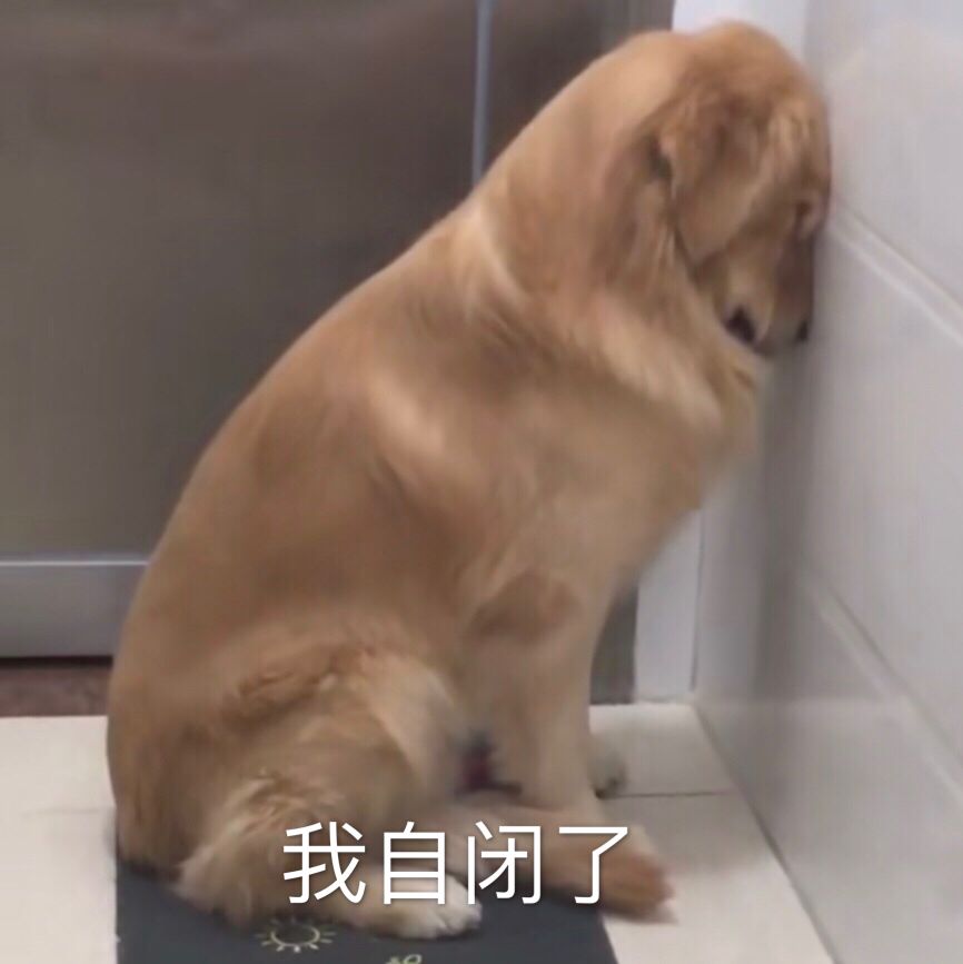 我自闭了