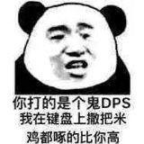 你打的是个鬼DPS，我在键盘上撒把米鸡都啄的比你高