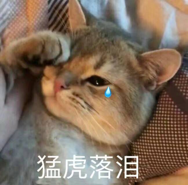 猛虎落泪