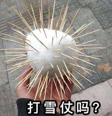 打雪仗吗？