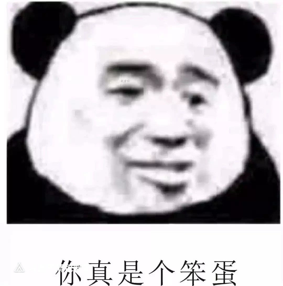 你真是个笨蛋